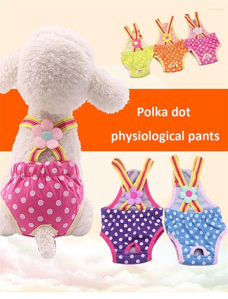 Pantaloni mestruali per animali domestici Abbigliamento per cani Shorts per la sicurezza fisiologica per la sospensione pantaloncini durevoli riutilizzabili