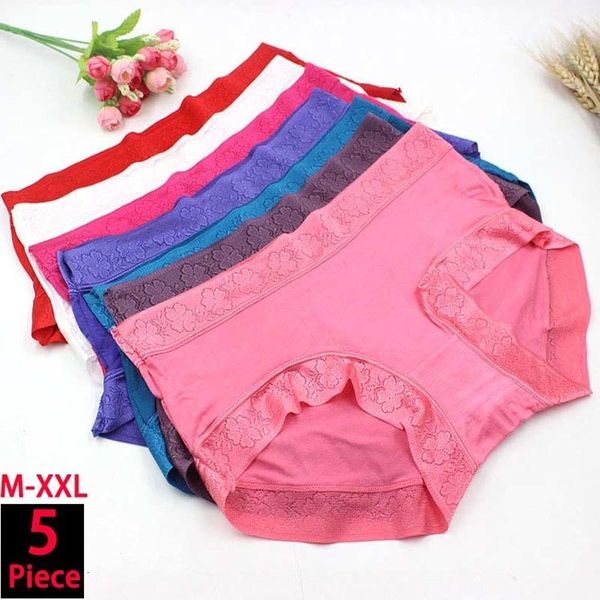 Calcinha feminina 5 peças de roupas íntimas femininas Sexy Bamboo Fiber Lace Roupa Lençóis de algodão Ceda