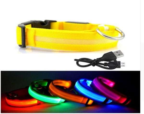 Collare per cani a LED USB ricaricabile di sicurezza notturna lampeggiante Glow Collare per cani per cani con cavo USB Accessorio per cani di ricarica1646314