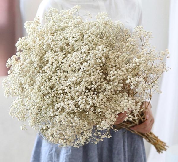 Ghirlande di fiori decorativi Gypsophila Baby Breath Million Stars Pianta naturale conservata secca Casa Matrimonio Natale Anno Decorati9778608