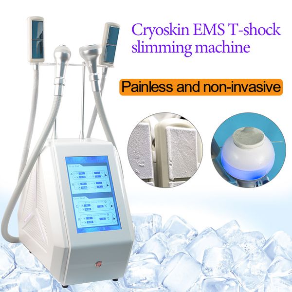 Máquina de emagrecimento por portátil Cryoskin na promoção de vendas Cryoskin EMS Crioterapia congelada e queimando equipamentos de gordura para emagrecimento