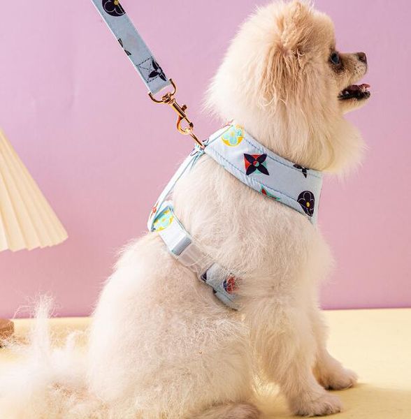 Designer de moda colarinhos cães chicote de trenôs define conjuntos de coleira de colarinho clássico de colarinho de colarinho de colarinho clássico para cães pequenos para cães pequenos para cães