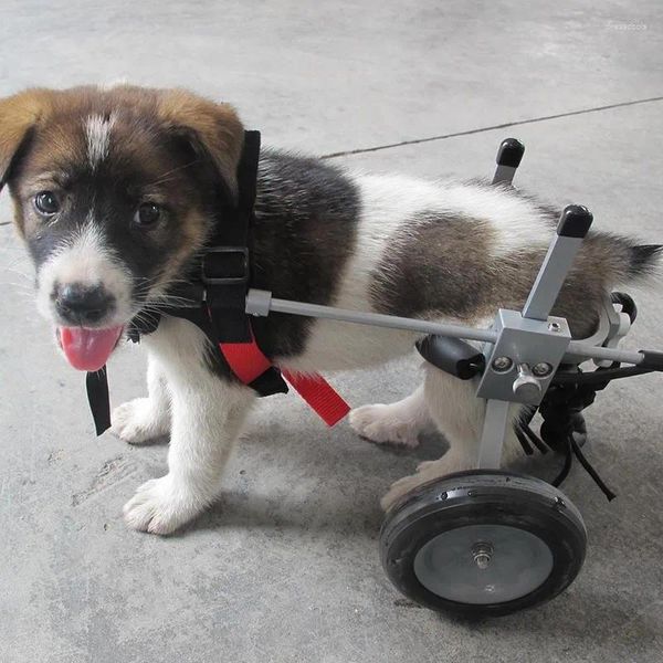 Veículos elétricos de scooter de vestuário para cães para cadeira de rodas de membro traseiro de carro de reabilitação de animais de estimação com deficiência