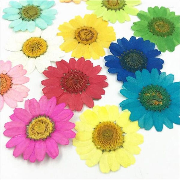 Fiori decorativi Lotti Bellissimi fiori pressati Foglie essiccate per arte Artigianato Scrapbooking Resina epossidica Creazione di gioielli Candela di sapone fai da te