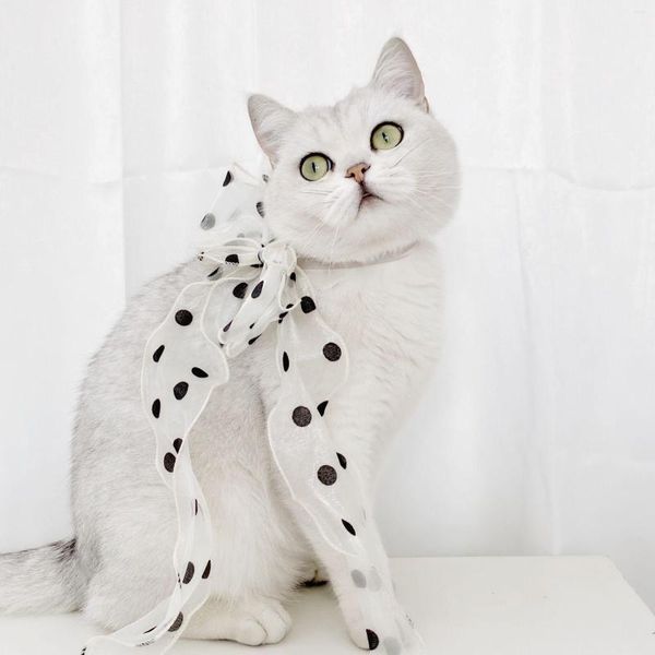 Collari per cani 3 pezzi Pet Lace Polka Dot Bowknot Fibbia di sicurezza regolabile Collare per gatti Fata Collana Compleanno Accessori Cucciolo carino e sottile