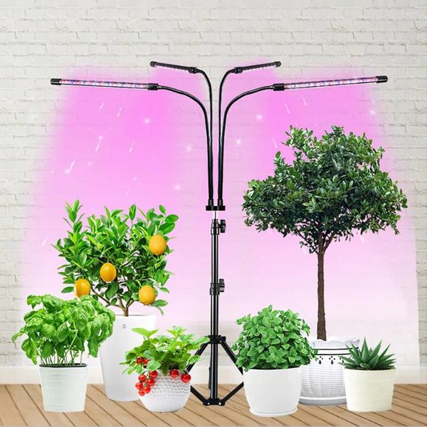 Luzes de cultivo led com função de temporização de pescoço de ganso flexível de 360 ° liga/desliga automática luz de planta de espectro completo para plantas de interior