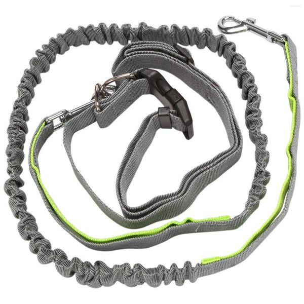 Hundehalsbänder, freihändige Leine, einziehbar, elastisch, Bungee-Gürtel, Joggingleine mit Taille, Grün