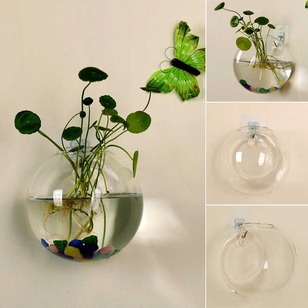 Vasen Transparente Glasvase Wandbehang Hydrokultur Terrarium Aquarien Topfpflanze Blumentopf Durchmesser 8/10CM P230411