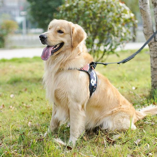 Collari per cani Guinzagli Imbracatura morbida Gilet Nastro riflettente Rete traspirante Guinzaglio per cani da compagnia per camminare