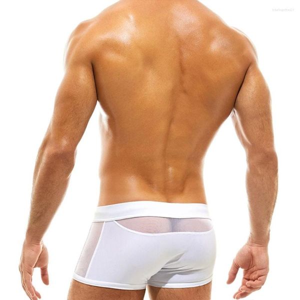 Roupa de banho masculina Calções de banho masculinos Calças de praia Fato de banho Surf Prancha de surf Sexy Mesh Almofada transparente Push-up Maiôs de natação