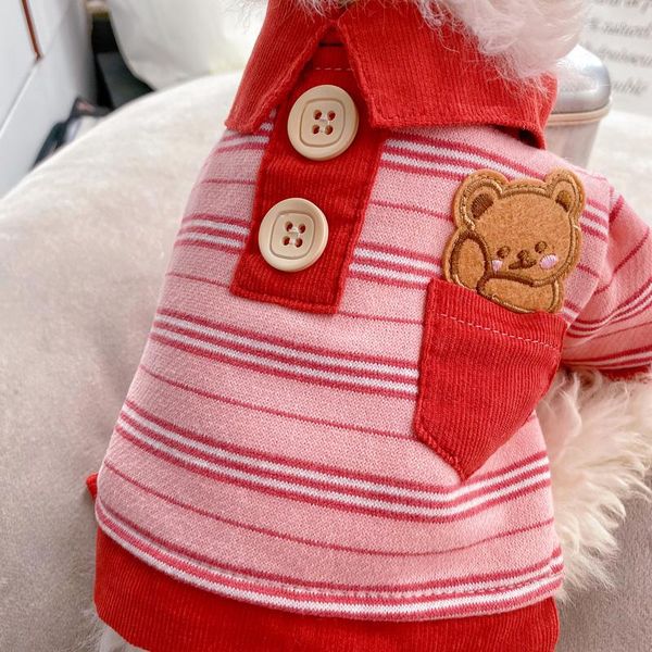 Abbigliamento per cani vestiti per animali domestici autunno e orsacchiotto invernale Bichon Bomei Couple Model