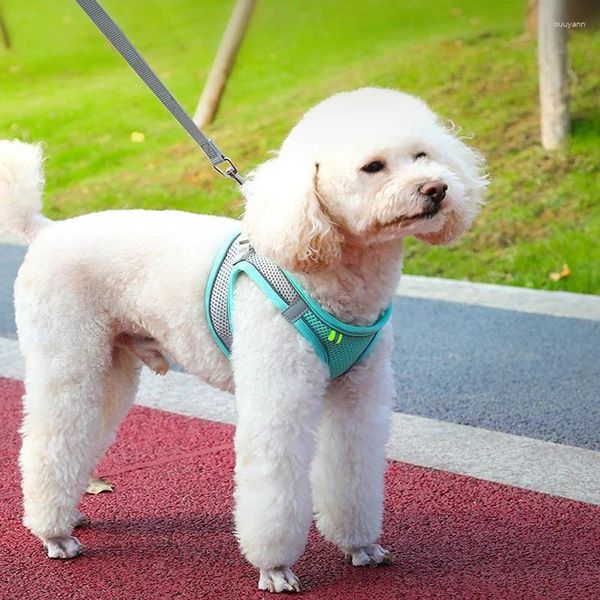 Hundebekleidung, Haustier-Brustgeschirr, Unterhemd-Leine, reflektierend, um zu verhindern, dass abtrünnige Katzen gehen, Traktions-Rückenseil