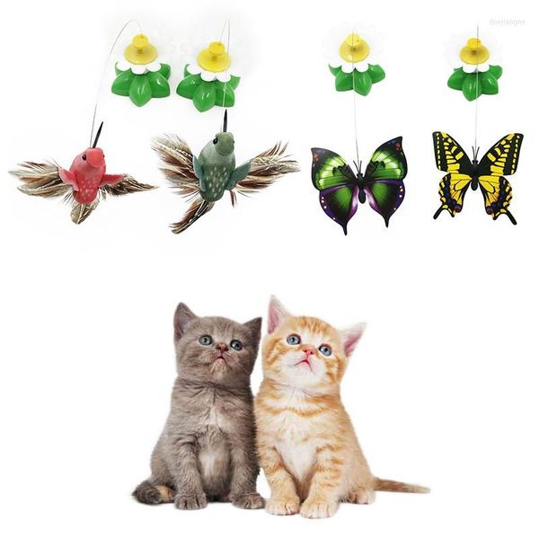Cat oyuncakları otomatik elektrikli oyuncak renkli kelebek kuşu komik çizik yavru kedi küçük köpek kedileri interaktif taing