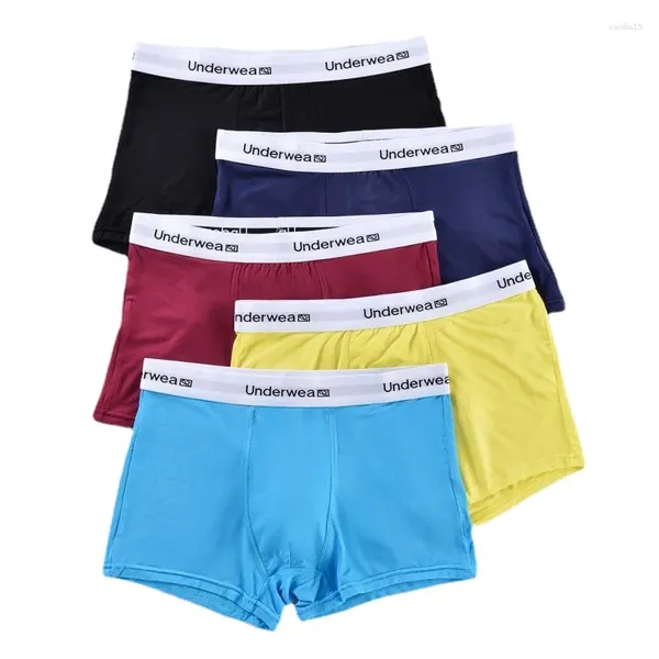 Mutande 5 pz/lotto Uomo Boxer Intimo Sonno Mutandine Pantaloncini Boxer Comodi Boxer Taglie Forti 4XL