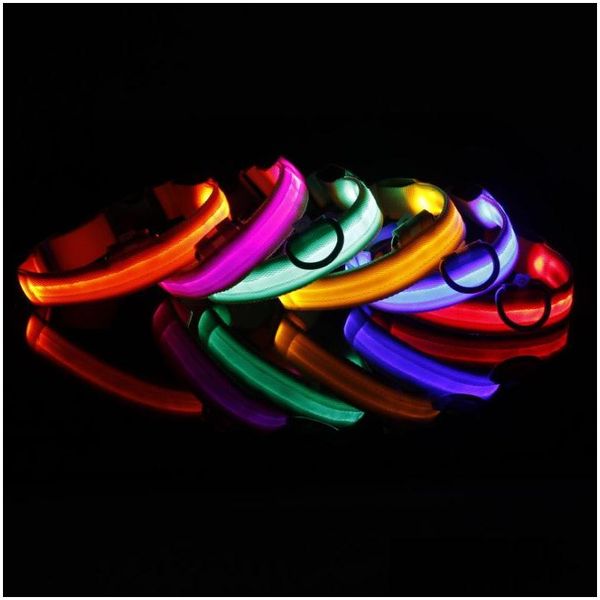 Halsbanden Lijnen 100 Stuks Xs Tot Xl Oplichten Led Verstelbare Nylon Knipperende Lichtgevende Veiligheid Nacht Usb Oplaadbare Huisdier Lood Dh2001 Dhubh