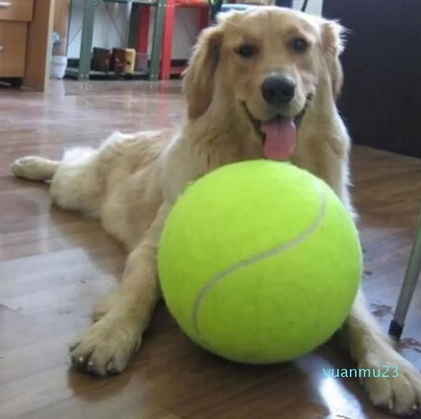 All'ingrosso- NUOVO arrivo 2016 NUOVO arrivo Nuovo Pet Dog Tennis Ball Petsport Thrower Chucker Launcher Gioca a Toy 11