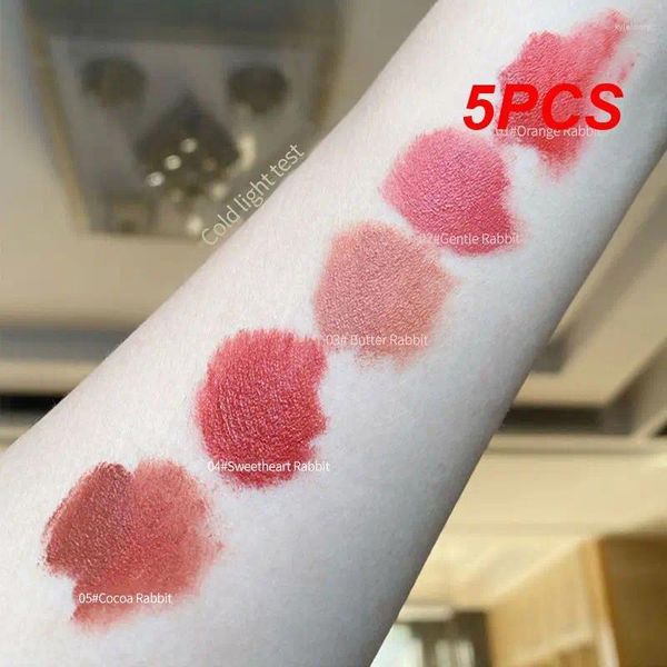 Lip Gloss 5PCS Set smalti Rossetto fango Confezione regalo Velluto opaco impermeabile Labbra a lunga durata Cosmetici per il trucco TSLM1