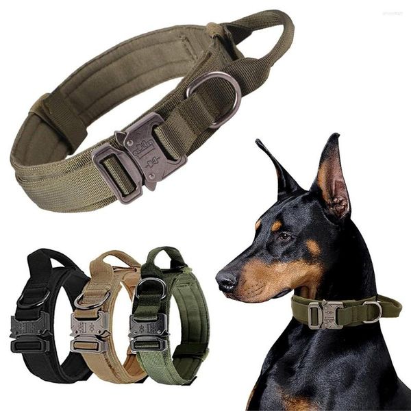 Collari per cani Collare tattico Militare regolabile in nylon Pastore tedesco per cani di taglia media Forniture per animali da addestramento a piedi