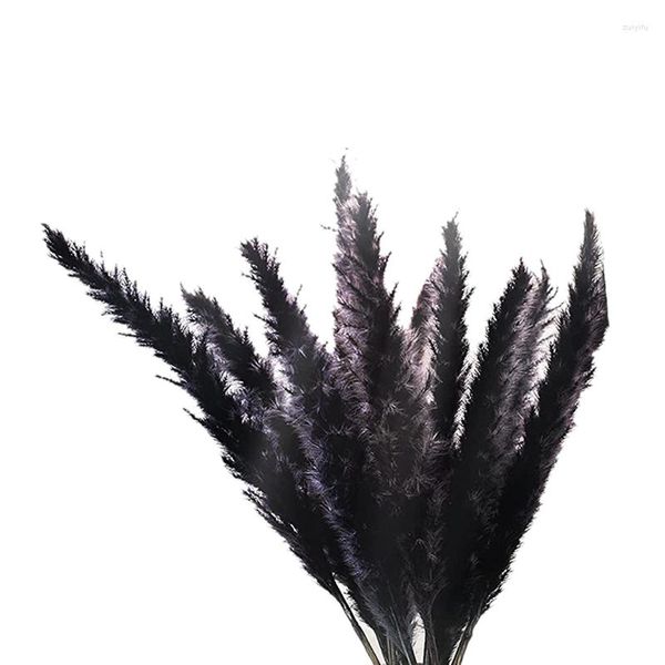 Fiori decorativi 30 Pz Nero Pampas Erba 17 Pollici Naturali Secchi Soffici Piccoli Steli Per La Decorazione Domestica Di Nozze Composizioni Floreali Promozione