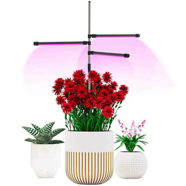 Grow Lights Full Growth Spectrum Phytolamp Indoor Anbaupflanze Blühende USB Phyto Lampe Gartenbau Kreative Led Grow Light Großhandel P230413