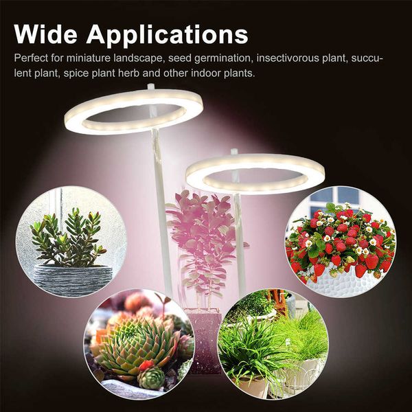 Grow Lights Circular Plant Growth Lights New Type Double-Head Direct Plug-In LED Grow Plant Fill Light Standlicht USB-Aufladung P230413