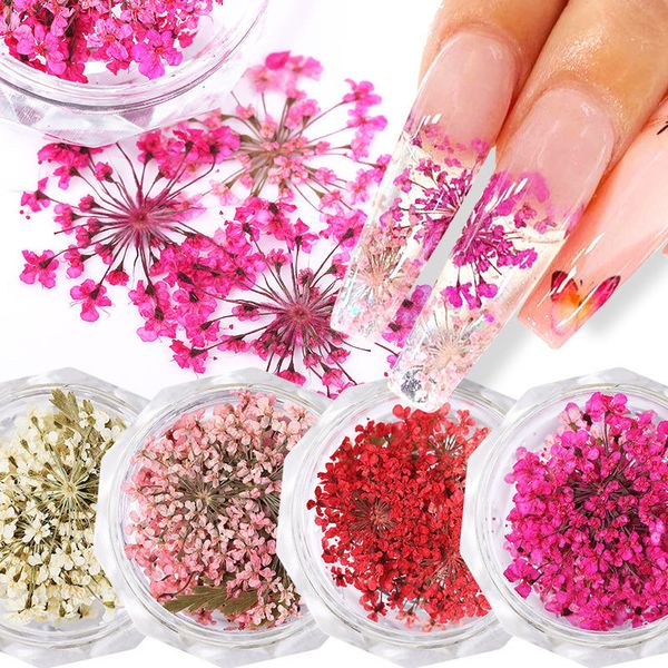 10 pezzi 3D fiori secchi unghie decorazioni di arte floreale naturale fascini per unghie set di gioielli forniture per unghie per professionisti accessori