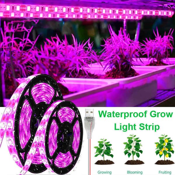 Grow Lights 10M USB Led Stript Lights Spettro completo DC 5V 1-5m Pianta Light Grow LED Strip Phyto Lampada per piantina di fiori vegetali Grow Tent P230413