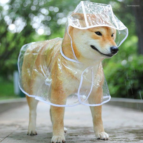 Abbigliamento per cani Impermeabile in plastica trasparente con cappuccio