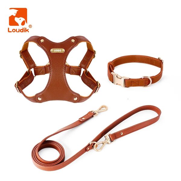 Colarinhos de cachorro colares loudik luxuros cães de couro e coleira conjunto de identificação imprimida sem puxar ajuste pequeno colarinho de estimação grande de gola de estimação por atacado 231110