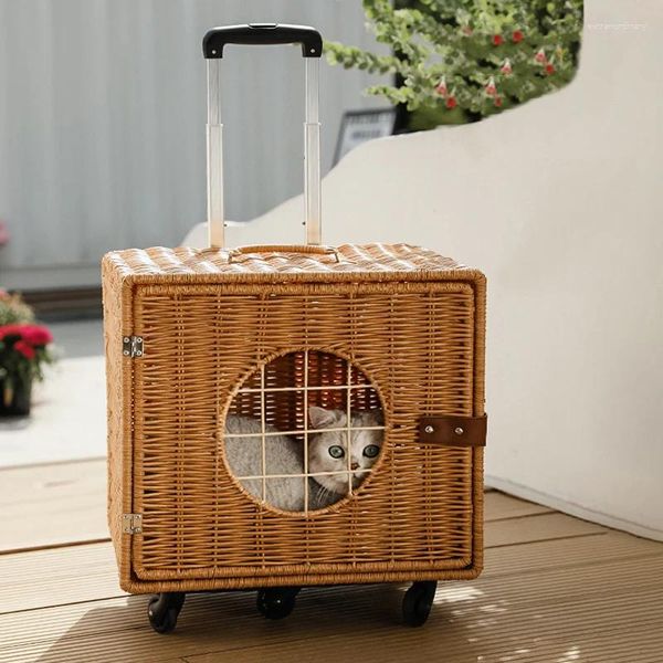 Transportadores de gatos portátil carrinho de transporte viagem transparente mala animal de estimação 4 rodas ao ar livre honden buggy produtos para animais de estimação cão