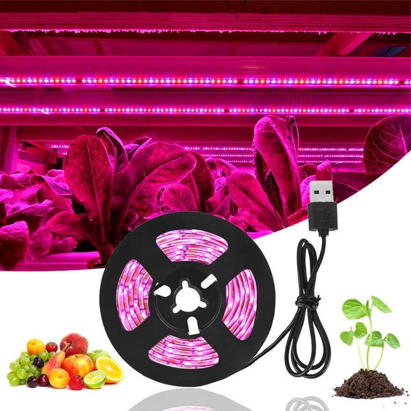 Luzes de cultivo LED Grow Light Full Spectrum Phytolamp 5V Usb Plant Light Strip 1m 2m 3m Phyto Lamp for Plants Greenhouse tenda de estufa hidropônica P230413