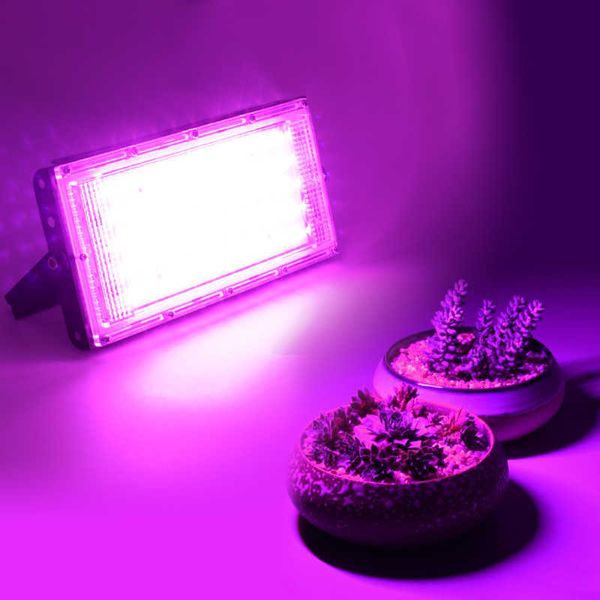 Grow Light Light Light IP65 Полный спектр 50 Вт AC 220V лампа фито для растений для растений палатка лампы для посева цветов.