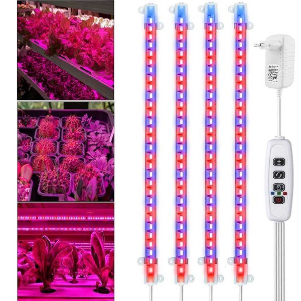 Grow Lights Indoor Grow Light Strip Timer Lampada per piante Piante Lampada a LED dimmerabile Phytolamps Hydroponics Rosso e blu P230413