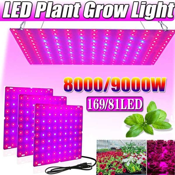 Grow Lights 169/81Led Plant Grow Light Professional Full Spectrum Grow Lights para plantas internas mudas que crescem e florescem P230413