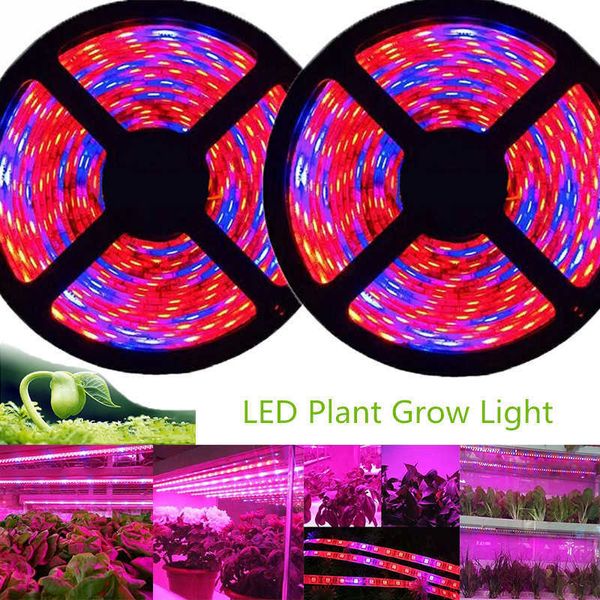 Grow Lights 5m Phyto LED Grow Light 12V Full Spectrum LED Growing Diode Tape Lamp 5050 LED Strip Plant Phytolampy IP65 Flexibel Aquarium P230413