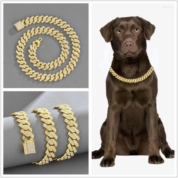 Köpek yaka kutusu toka yaka zinciri kablo demeti lüks metal elmas ile 15mm Alman çoban büyük köpekler Miami Küba zincirleri aksesuarlar evcil hayvan