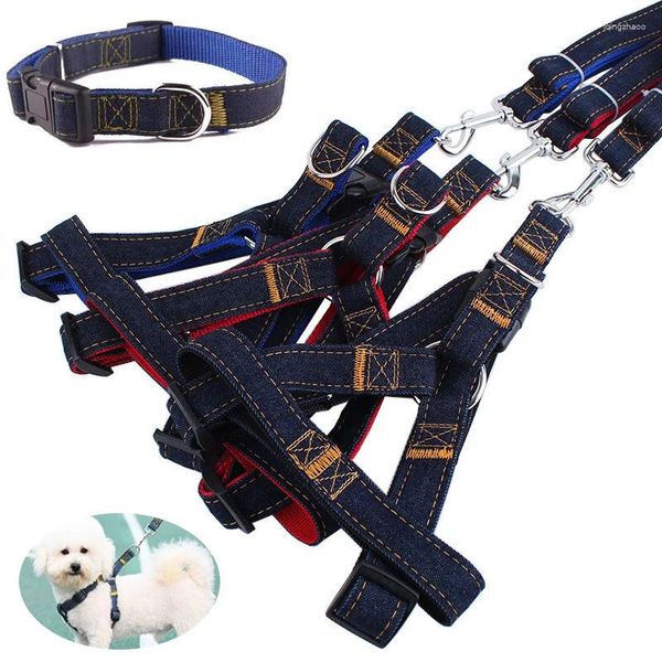 Collari per cani Pettorina per gatti Guinzaglio Gilet regolabile Collare Comodo e resistente Cintura toracica per uscire Accessori per animali domestici