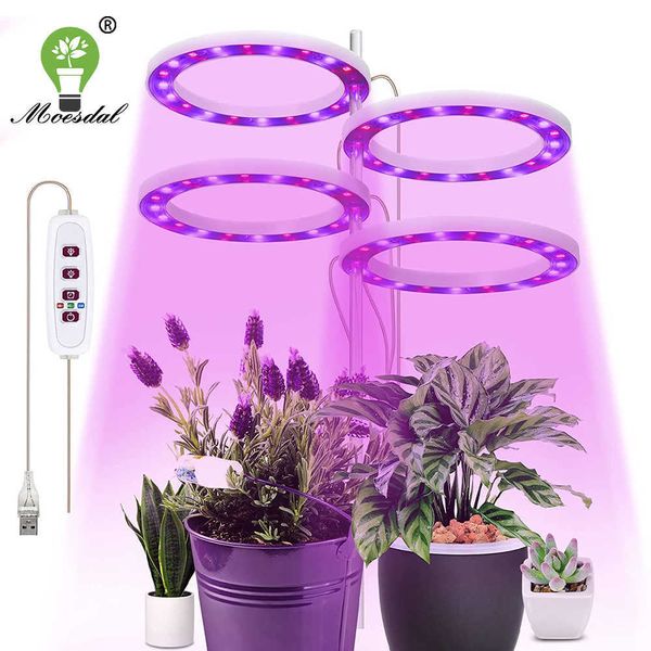 Grow Lights Ringförmiges LED-Pflanzenlicht Kleines Wachstumslicht USB-Timing-Dimmung Geeignet für Zimmerpflanzen-Topf-Sukkulenten-Aquarium-Licht P230413