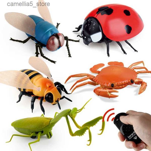 Elettrico / RC Animali Infrarossi RC Insetti Telecomando Simulazione Mantis Adulti Scherzi Scherzi Giocattolo Compleanno Novità Regalo Giocattoli per bambini Q231114