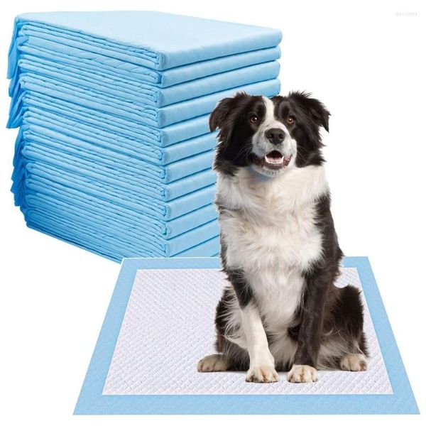 Abbigliamento per cani Tappetini per pipì Cani usa e getta Addestramento vasino Pet Tappetino ad assorbimento forte 24X24 pollici (L