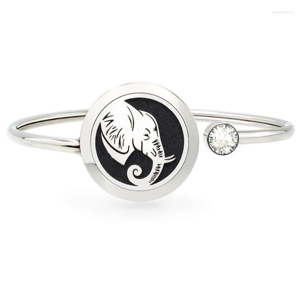 Bangle 2pcs/Set Elephant лягушка из нержавеющей стали из нержавеющей стали из нержавеющей стали браслеты с 10 шт.