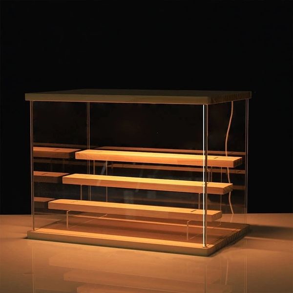 Boîtes de rangement Bacs 2 4 niveaux Riser Présentoir Case Led Light Clear Acrylique Vitrine Étagères en bois Boîte Figure Parfum Affichage 230413