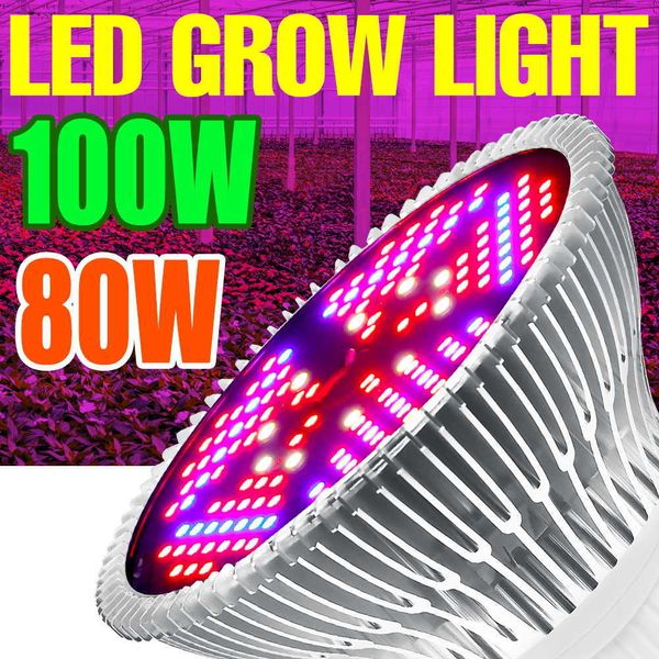 Luzes de cultivo LED Planta de espectro completa CROVE LUZ E27 PHYTO LAMPO E14 LED BULBA HIDINDOPÍSICA 18W 28W 30W 50W 80W 100W LED LED Greenhouse Planting Lamp P230413