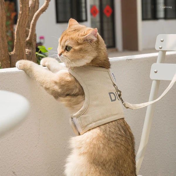 Kedi kostümleri yelek köpek tasması dört mevsim örgü nefes alabilen anti-breakway evcil hayvan sandık kayışı yürüme ipi zinciri kediler kablo demeti