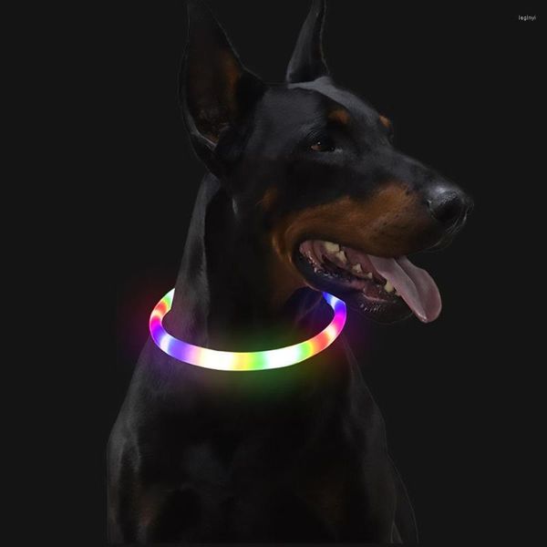 Colarinhos de cães LED de colarinho brilhante ajustável recarga de recarga luminosa noite anti-perdida de chicote de animais de estimação pequenos animais de estimação