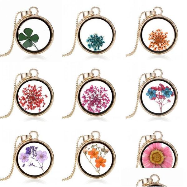 Colares pendentes Crecamentos criativos de ouro mticolor seco Flor redondo trevo flutuante Charms Charms para mulher Dhgarden dhrc8