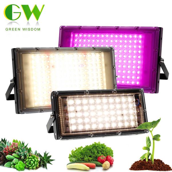 Grow Lights Full Spectrum LED Grow Light 50 W 100 W 300 W Pflanzenwachstumslampen + EU-Stecker Sonnenlicht Phyto-Lampe für Gewächshaus Indoor Veg und Bloom P230413