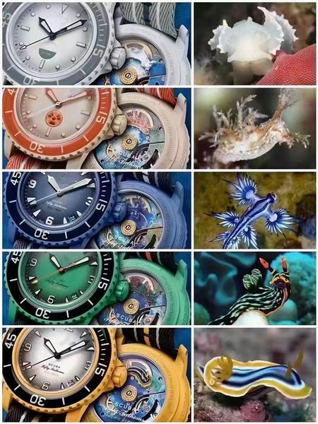 мужские часы с прозрачным дном, биокерамические автоматические кварцевые часы, полнофункциональные часы с пятью океанами, Тихоокеанский Антарктический Индийский пять океанов, часы с механизмом