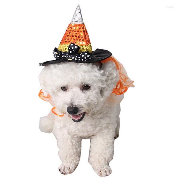 Abbigliamento per cani Arrivo 2023 Cappello per animali domestici di Halloween Divertente costume carino Cappelli per feste per gatti Strega per cani Accessori per gatti