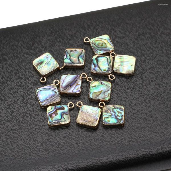 Anhänger Halsketten Natürliche Abalone Muschel Herz Quadrat Rund Wassertropfen Oval Süßwasser Charms für Schmuckherstellung DIY